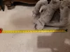 Large stuffed elephant